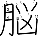 kanji stroke order for 脳
