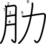 kanji stroke order for 肋