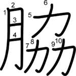 kanji stroke order for 脇